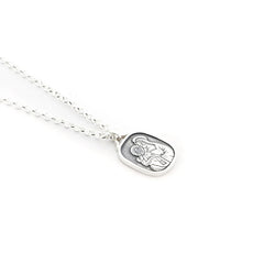 FRIENDS OF JESUS Scapular - 18x20mm silver medal necklace with chain